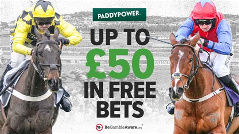 paddy power cheltenham betting